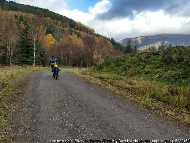 A forest track, along the C2C cycle route