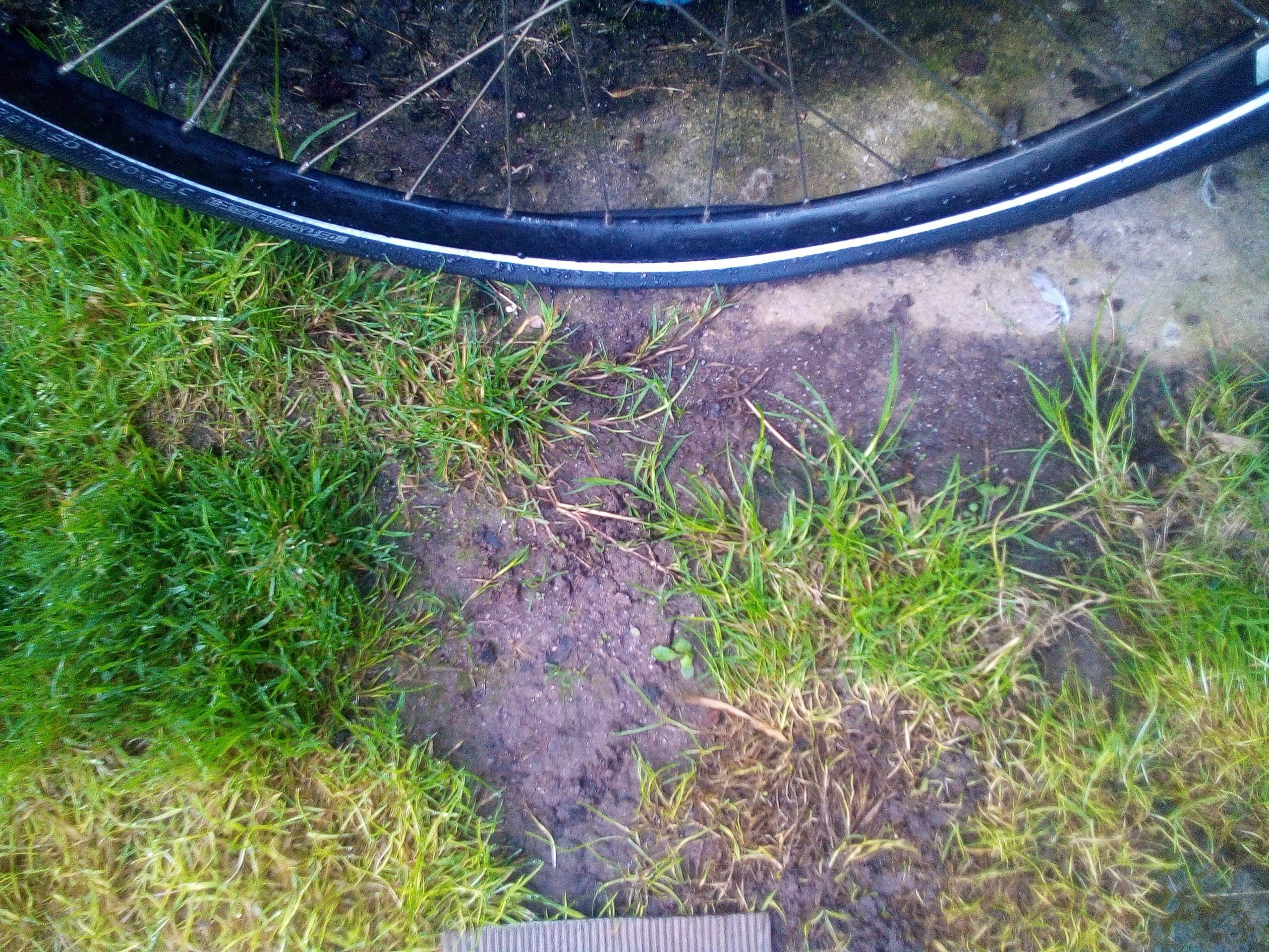 When  the  Puncture  Fairy  visits…