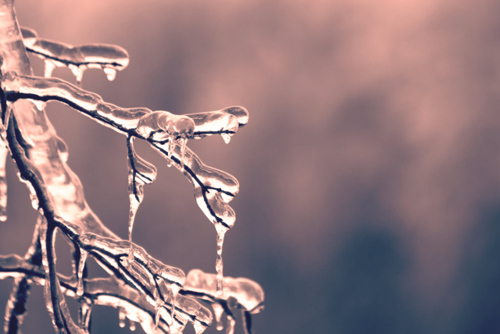 Back  to  basics  –  winter  cycling