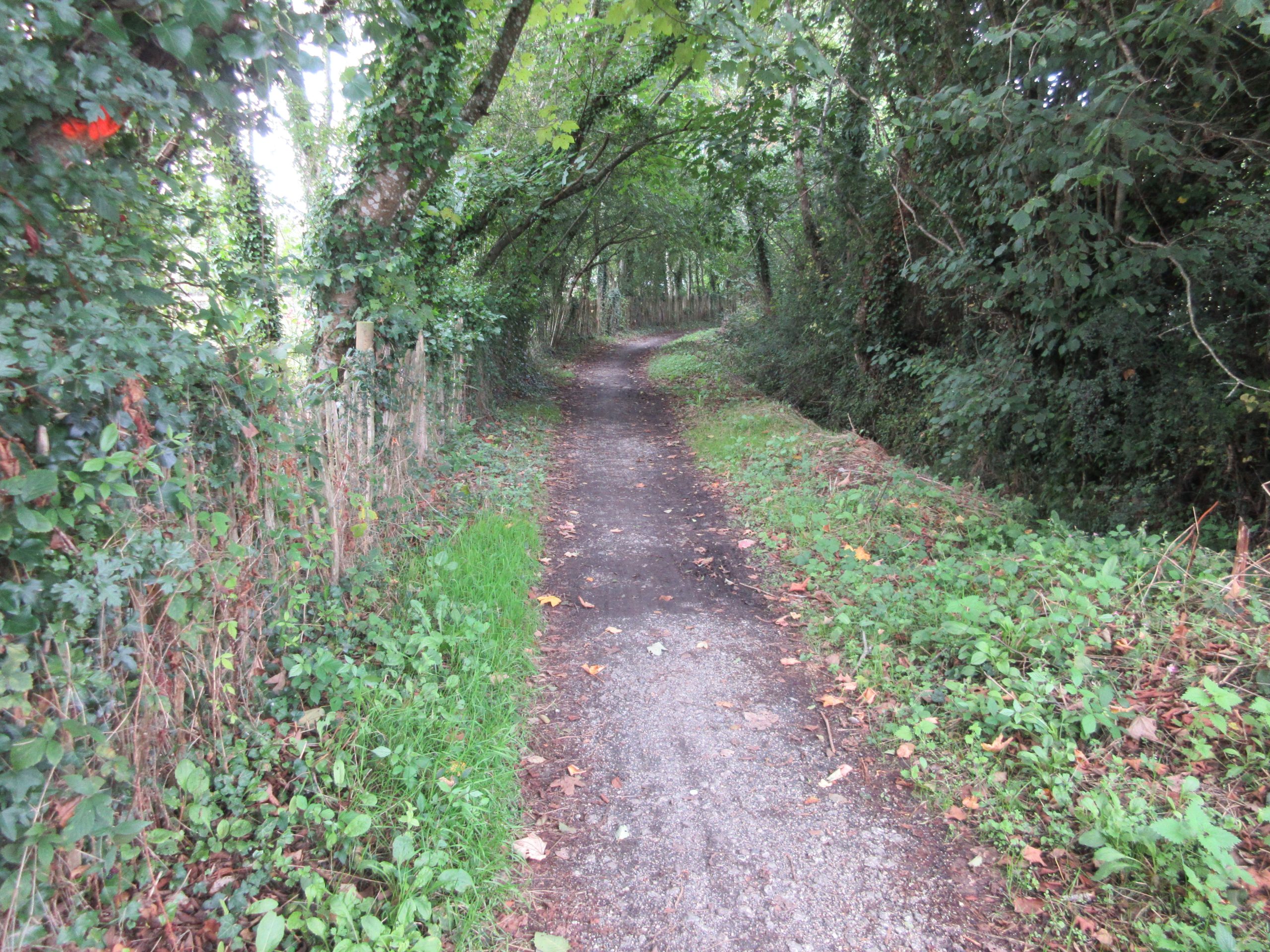 St  Austell  to  Mevagissey  traffic-free  cycle  route