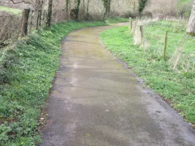 Path surface on the Dart Valley Cycleway